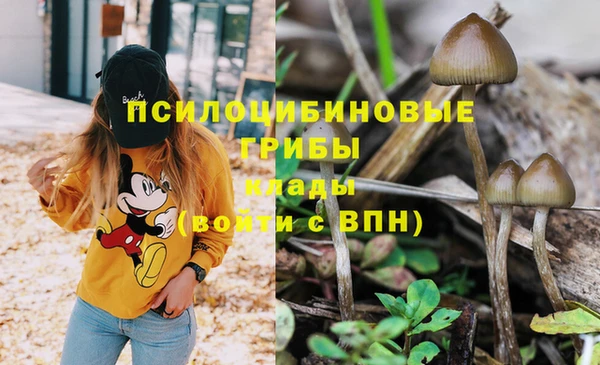 мяу мяу мука Армянск