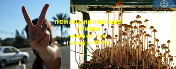 дмт Арсеньев