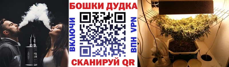 это клад  Безенчук  Каннабис ГИДРОПОН 